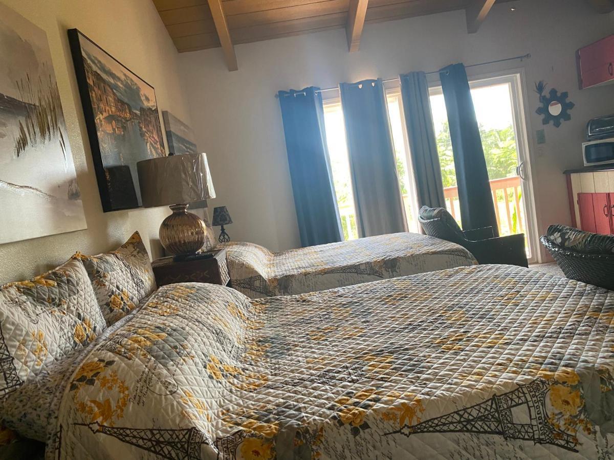 Nice Studio W/ Ac Near Kehena Beach And Lava Fields 外观 照片