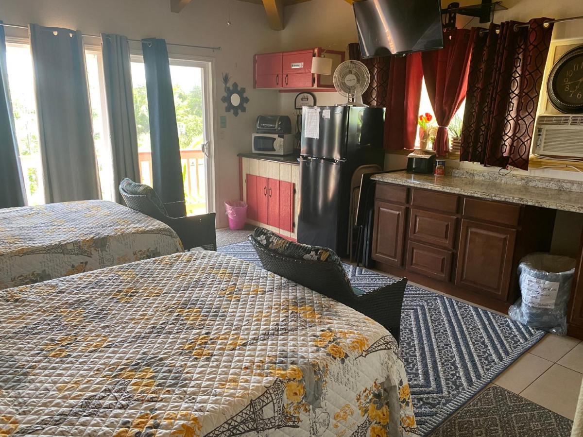 Nice Studio W/ Ac Near Kehena Beach And Lava Fields 外观 照片