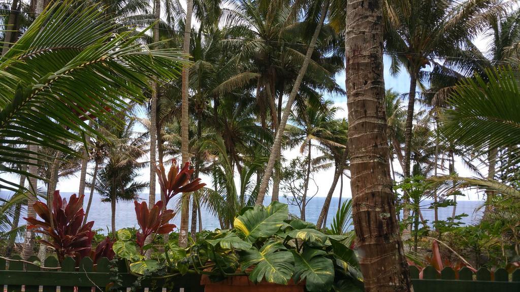 Nice Studio W/ Ac Near Kehena Beach And Lava Fields 客房 照片